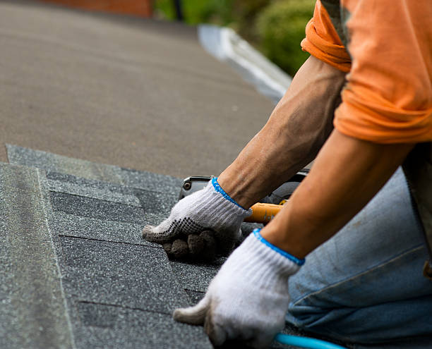 Best Roofing Contractor Near Me  in Langley, WA