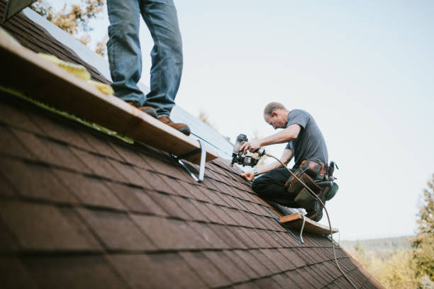 Best Metal Roofing Contractor  in Langley, WA