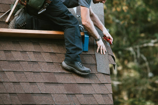 Best Roof Gutter Cleaning  in Langley, WA